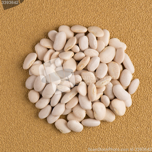 Image of Circle of white beans