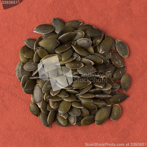 Image of Circle of pumpkin seeds