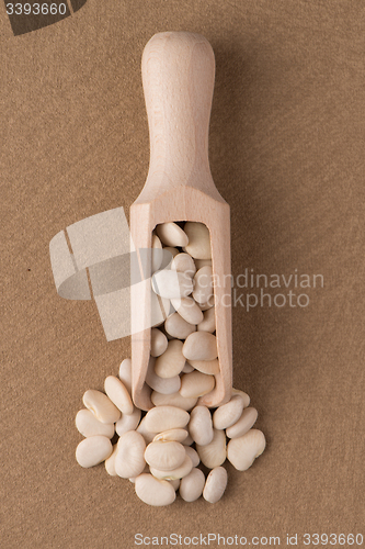 Image of Wooden scoop with white beans