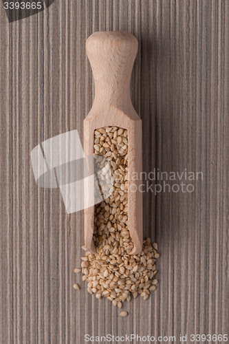 Image of Wooden scoop with sesame seeds