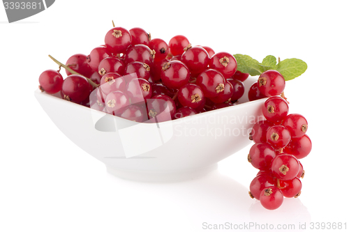 Image of Red Currants