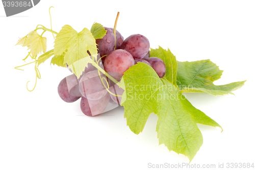 Image of Bunch of red grapes