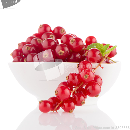 Image of Red Currants