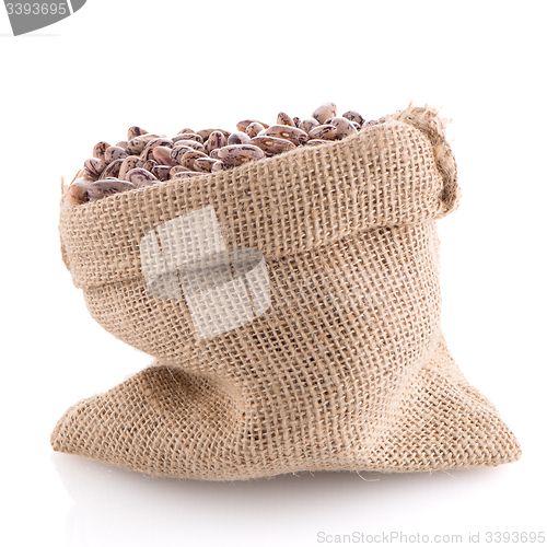 Image of Pinto beans bag