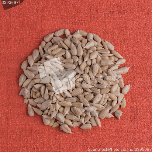 Image of Circle of shelled sunflower seeds