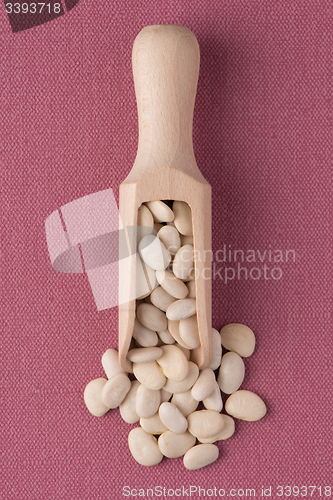 Image of Wooden scoop with white beans