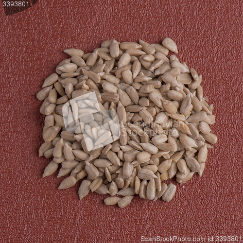 Image of Circle of shelled sunflower seeds