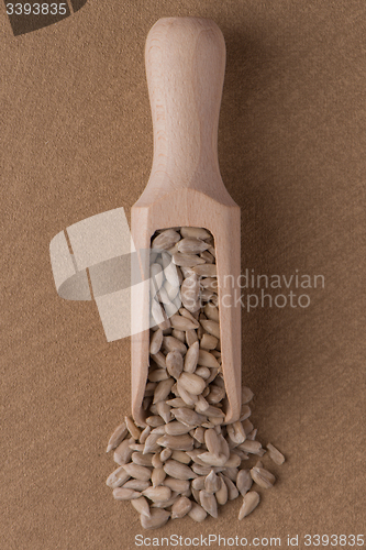 Image of Wooden scoop with shelled sunflower seeds