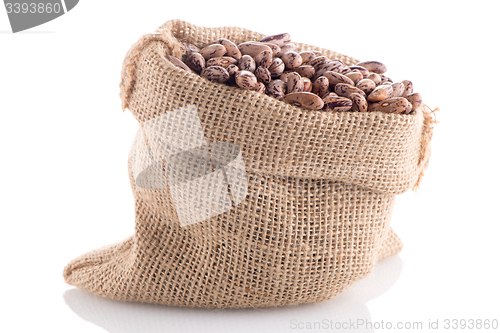 Image of Pinto beans bag