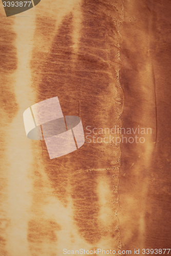 Image of Old paper texture