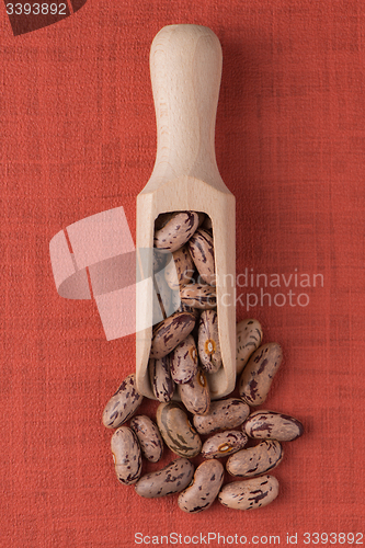 Image of Wooden scoop with pinto beans