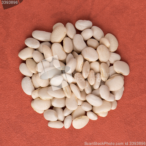 Image of Circle of white beans
