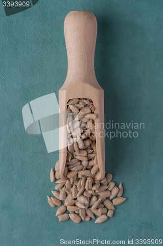 Image of Wooden scoop with shelled sunflower seeds