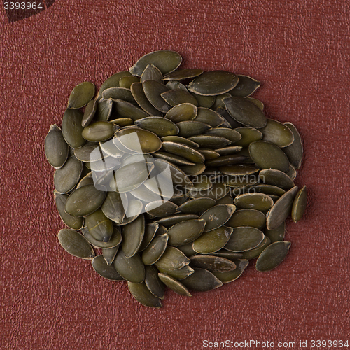 Image of Circle of pumpkin seeds
