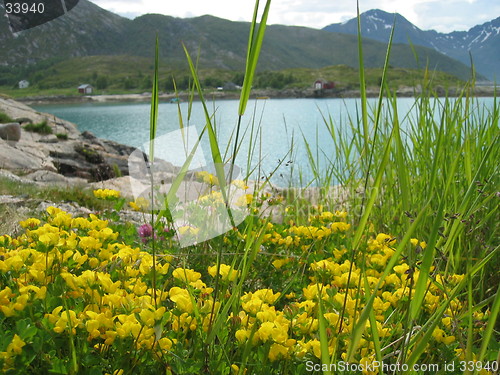 Image of Bjarkøy