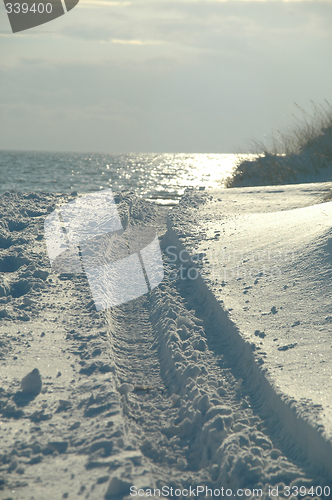 Image of Car track in the snow