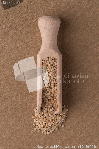 Image of Circle of sesame seeds