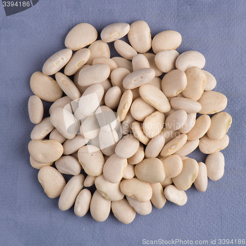 Image of Circle of white beans