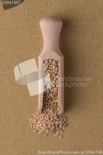 Image of Circle of sesame seeds
