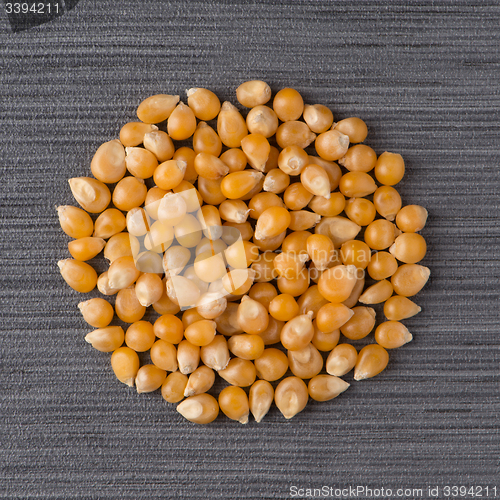 Image of Circle of corn