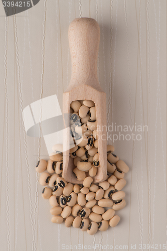 Image of Wooden scoop with white beans