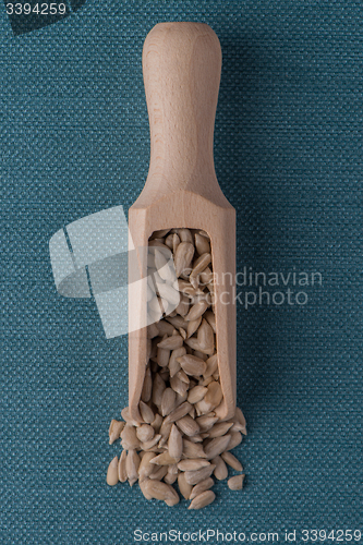 Image of Wooden scoop with shelled sunflower seeds