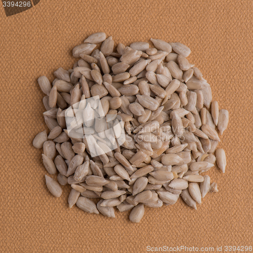 Image of Circle of shelled sunflower seeds