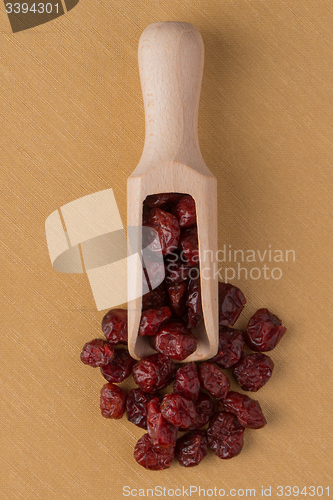 Image of Wooden scoop with dried cranberries