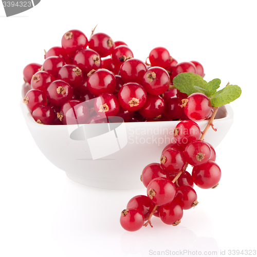 Image of Red Currants