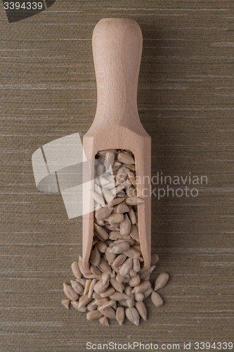 Image of Wooden scoop with shelled sunflower seeds