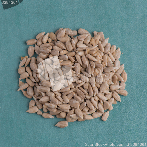 Image of Circle of shelled sunflower seeds