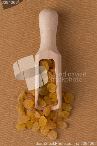 Image of Wooden scoop with golden raisins