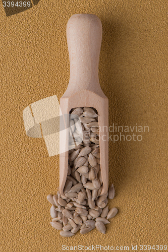 Image of Wooden scoop with shelled sunflower seeds