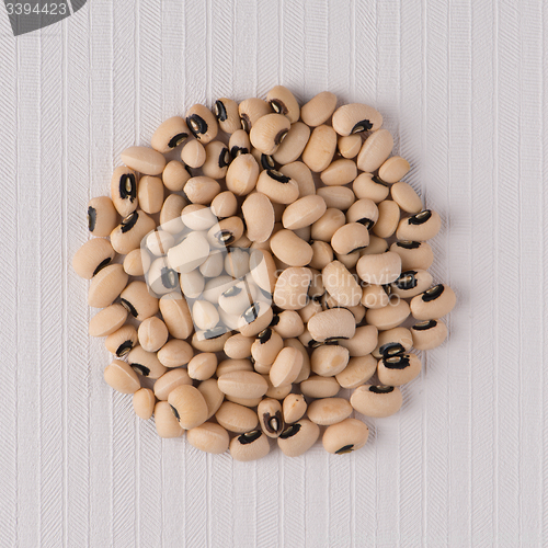 Image of Circle of white beans