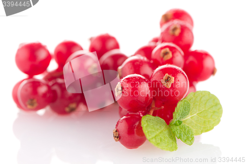 Image of Red Currant