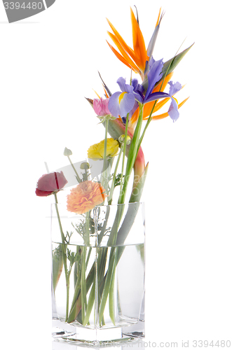 Image of Bouquet of various flowers