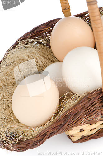 Image of Eggs closeup