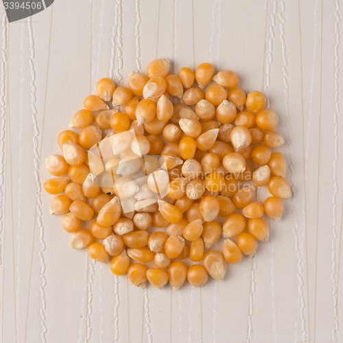 Image of Circle of corn