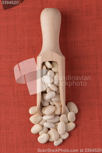 Image of Wooden scoop with white beans