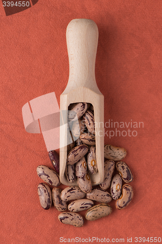 Image of Wooden scoop with pinto beans