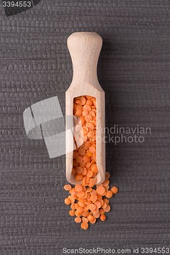 Image of Wooden scoop with  peeled lentils