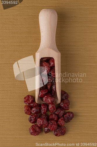 Image of Wooden scoop with dried cranberries