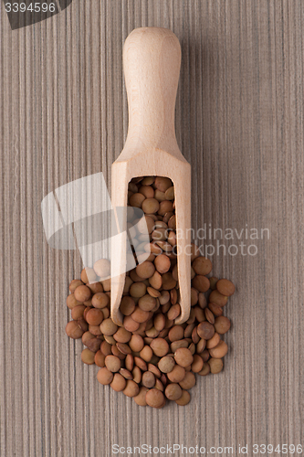 Image of Wooden scoop with lentils