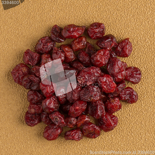 Image of Circle of dried cranberries