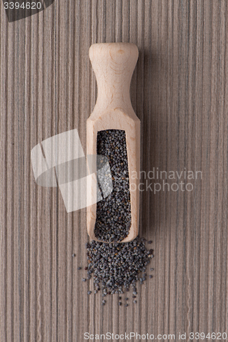 Image of Circle of poppy seeds