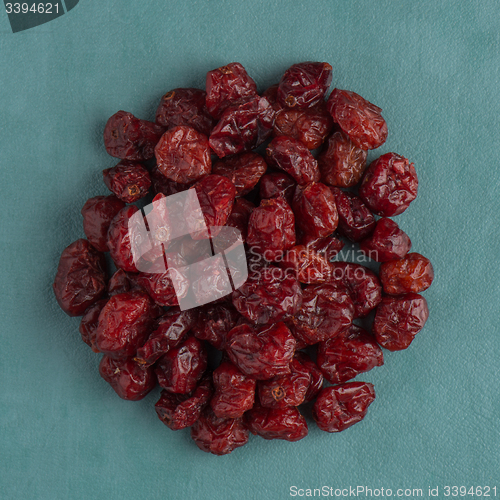 Image of Circle of dried cranberries