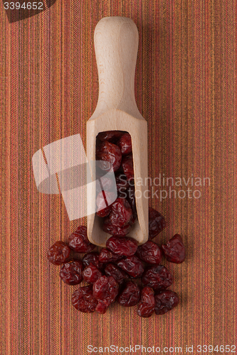 Image of Wooden scoop with dried cranberries