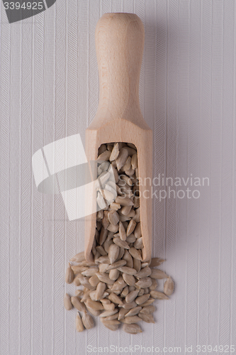 Image of Wooden scoop with shelled sunflower seeds