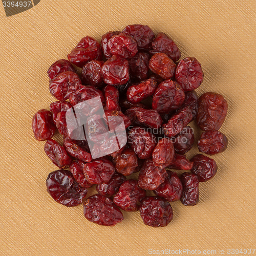 Image of Circle of dried cranberries