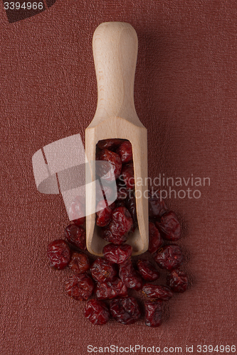 Image of Wooden scoop with dried cranberries